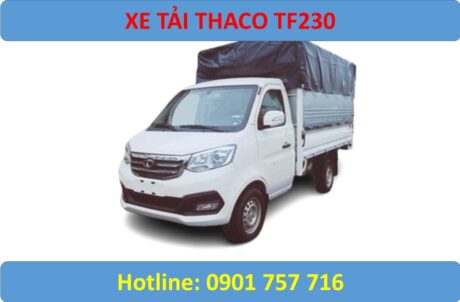 tf230 mui bạt